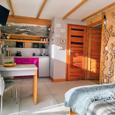 Lux W Domku Tylko Dwa Apartamentyz Jacuzzi Zewnętrznym Apartament